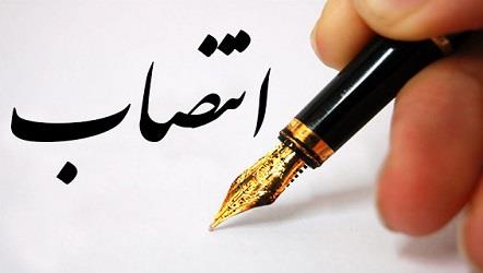 رییس مرکز تحقیقات توسعه زیست‌فناوری دانشگاه تربیت مدرس منصوب شد