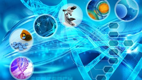 پیشرفت بیوتکنولوژیکی ایران یکی از محورهای قابل قبول‌ در گزارش آنکتاد است