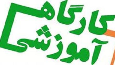 با مشارکت ستاد توسعه زیست‌فناوری معاونت علمی؛