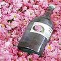 حضور صندوق در سومین جشنواره و نمایشگاه ملی گیاهان دارویی، فرآوردهای طبیعی و طب سنتی
