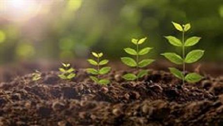 رصد وآینده‌نگاری ابعاد اقتصاد زیستی در کشور و دنیا ضروری است